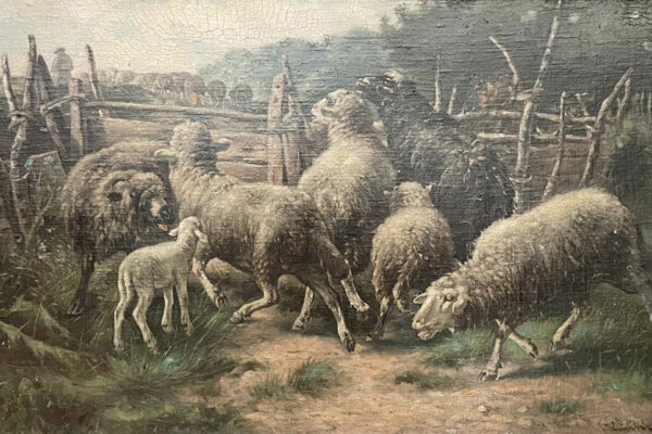 Schapen bij een hek door Franz Knirsch Schapen bij een hek door Franz Knirsch